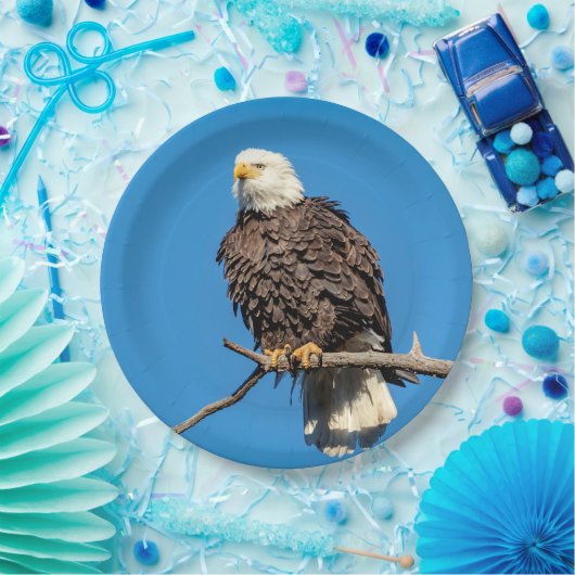 Bald-Adler auf einem Baumzweig Pappteller (Party)