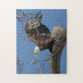 Bald-Adler auf einem Baumzweig Puzzle (Vertikal)