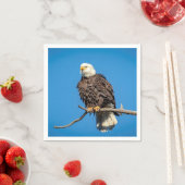 Bald-Adler auf einem Baumzweig Serviette (Beispiel)