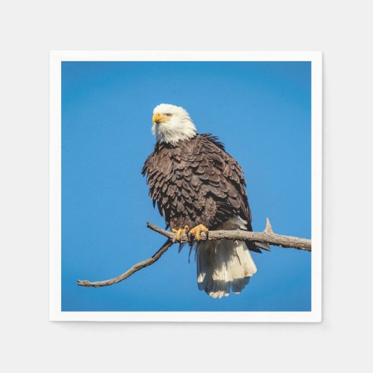 Bald-Adler auf einem Baumzweig Serviette (Vorderseite)