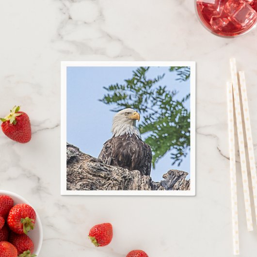 Bald-Adler auf einem Baumzweig Serviette (Beispiel)
