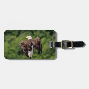 Bald-Adler auf einem Zweig Gepäckanhänger