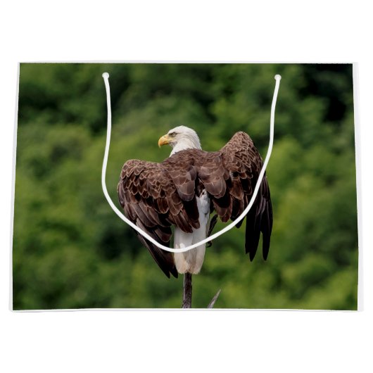 Bald-Adler auf einem Zweig Große Geschenktüte (Vorderseite)