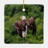 Bald-Adler auf einem Zweig Keramikornament (Rückseite)