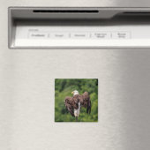 Bald-Adler auf einem Zweig Magnet (In Situ (Geschirrspüler))