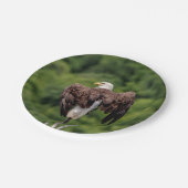 Bald-Adler auf einem Zweig Pappteller (Schrägansicht)