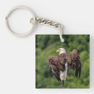 Bald-Adler auf einem Zweig Schlüsselanhänger