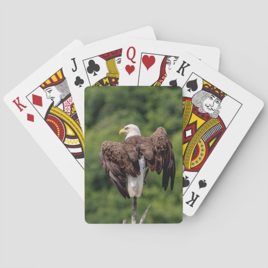Bald-Adler auf einem Zweig Spielkarten (Rückseite)