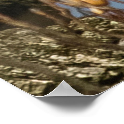 Bald-Adler auf einer hohen Perle Poster (Ecke)