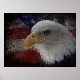 Bald-Adler auf Flaggendruck Poster