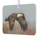 Bald-Adler Autolufterfrischer (Links)