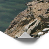 Bald Adler bereit für Flight Fine Art Print Poster (Ecke)