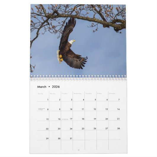 Bald Adler das ganze Jahr Kalender (Mär 2026)