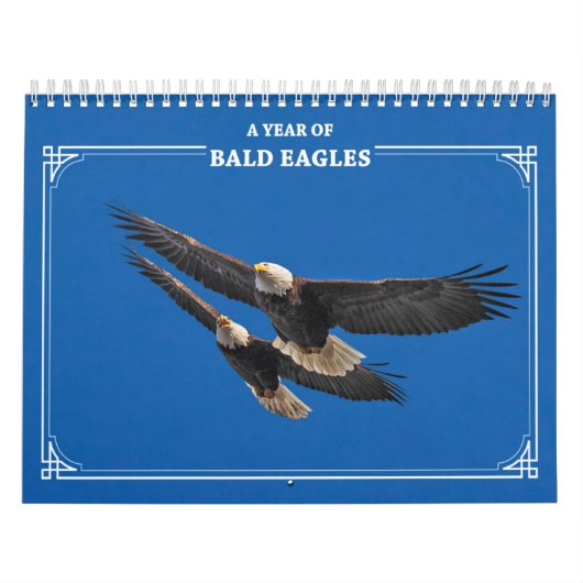 Bald Adler das ganze Jahr Kalender (Titelbild)