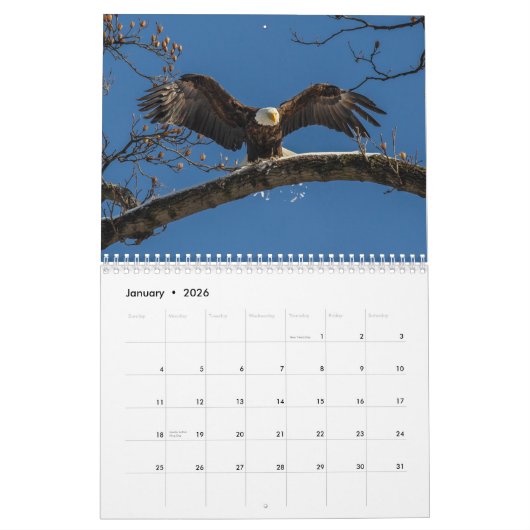 Bald Adler das ganze Jahr Kalender (Jan 2026)