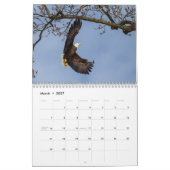 Bald Adler das ganze Jahr Kalender (Mär 2027)