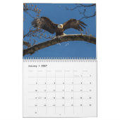 Bald Adler das ganze Jahr Kalender (Jan 2027)