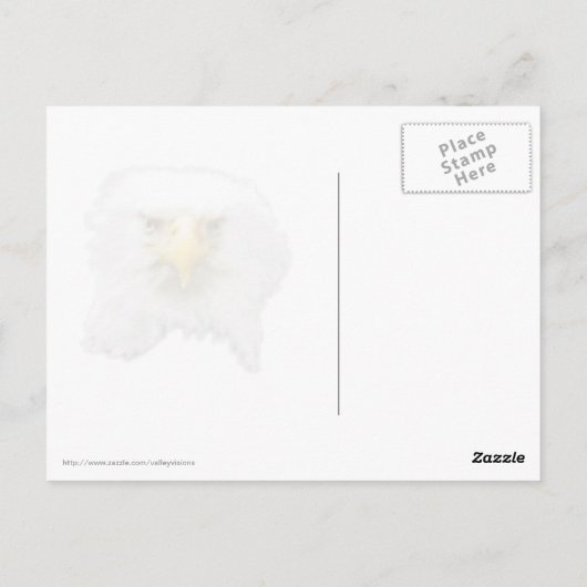 Bald-Adler, der ein Ei kubiert Postkarte (Rückseite)