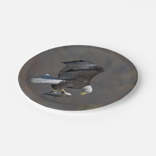 Bald-Adler, der einen Fisch anstarrt Pappteller (Schrägansicht)