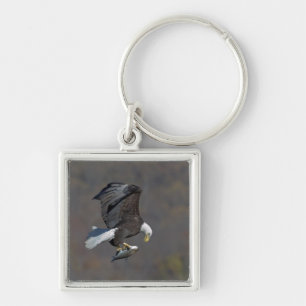 Bald-Adler, der einen Fisch anstarrt Schlüsselanhänger