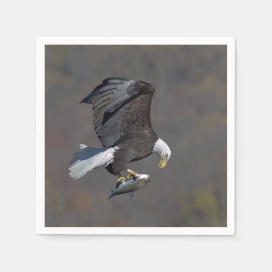 Bald-Adler, der einen Fisch anstarrt Serviette (Vorderseite)
