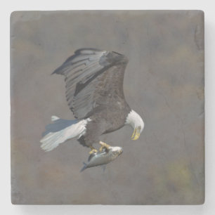 Bald-Adler, der einen Fisch anstarrt Steinuntersetzer