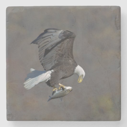 Bald-Adler, der einen Fisch anstarrt Steinuntersetzer (Vorderseite)