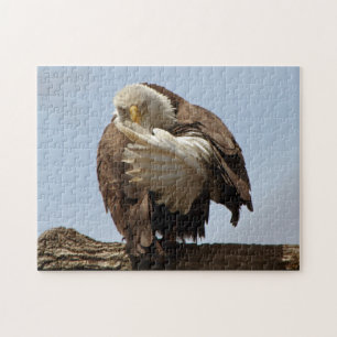 Bald-Adler (Der Vogel, der den Vogel spendet) Puzzle