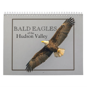 Bald-Adler des Kalenders Hudson Kalender