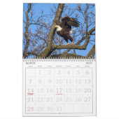 Bald-Adler des Kalenders Hudson Kalender (Mär 2027)