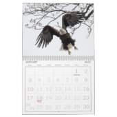 Bald-Adler des Kalenders Hudson Kalender (Jan 2027)