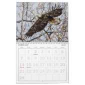 Bald-Adler des Kalenders Hudson Kalender (Feb 2027)