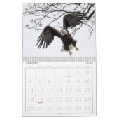 Bald-Adler des Kalenders Hudson Kalender (Jan 2026)