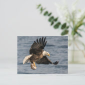 Bald-Adler-Fang Postkarte (Stehend Vorderseite)