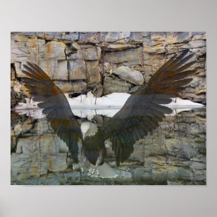 Bald-Adler-Felswand Reflektionen im Wasser Poster