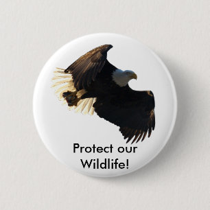Bald-Adler-Flugabholung II Button