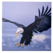 Bald-Adler-Flügel breiten sich in einem Sturm aus. Fliese (Vorderseite)