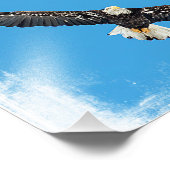 Bald-Adler Fotodruck (Ecke)
