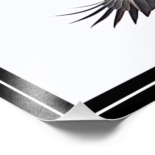 Bald-Adler Fotodruck (Ecke)