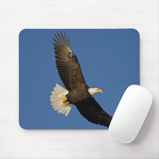 Bald-Adler, Haliäetus leucocephalus, Homer Mousepad (Mit Mouse)