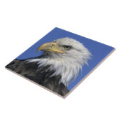 Bald-Adler (Haliäetus leucocephalus), wild, Fliese (Seite)