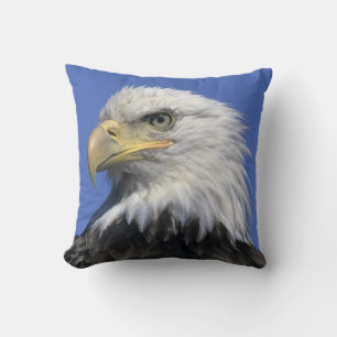 Bald-Adler (Haliäetus leucocephalus), wild, Kissen