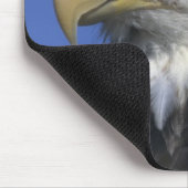 Bald-Adler (Haliäetus leucocephalus), wild, Mousepad (Ecke)