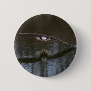 Bald Adler im Flug Button
