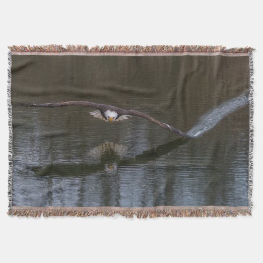 Bald Adler im Flug Decke (Vorderseite)