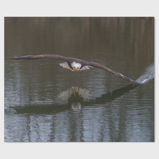 Bald Adler im Flug Geschenkpapier (Flach)