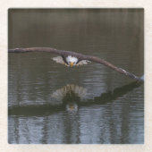 Bald Adler im Flug Glasuntersetzer (Vorderseite)