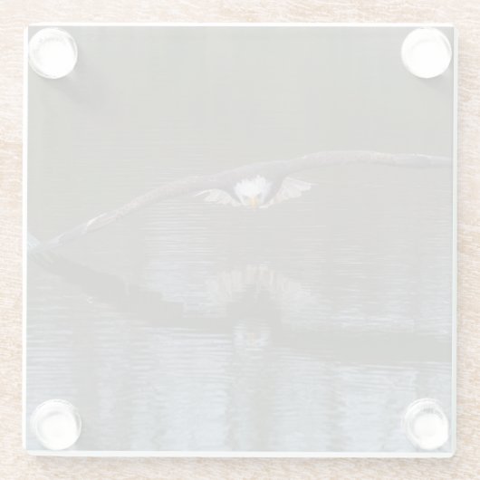 Bald Adler im Flug Glasuntersetzer (Rückseite)
