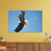 Bald Adler im Flug Leinwanddruck (Insitu (Wohnzimmer))