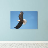 Bald Adler im Flug Leinwanddruck (Insitu (Holzboden))